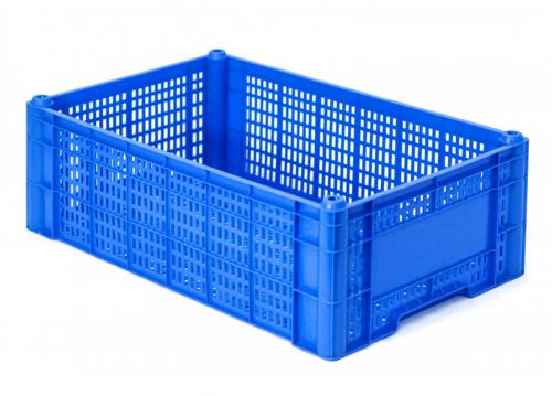 Caja de Plástico 10 kg para Transporte de Frutas